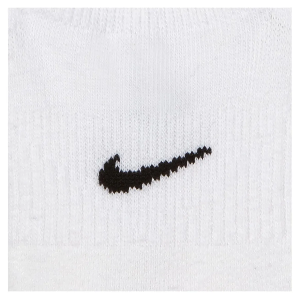 Everyday Plus (Pack of 3 pairs) - Women's Cushioned Ankle Socks