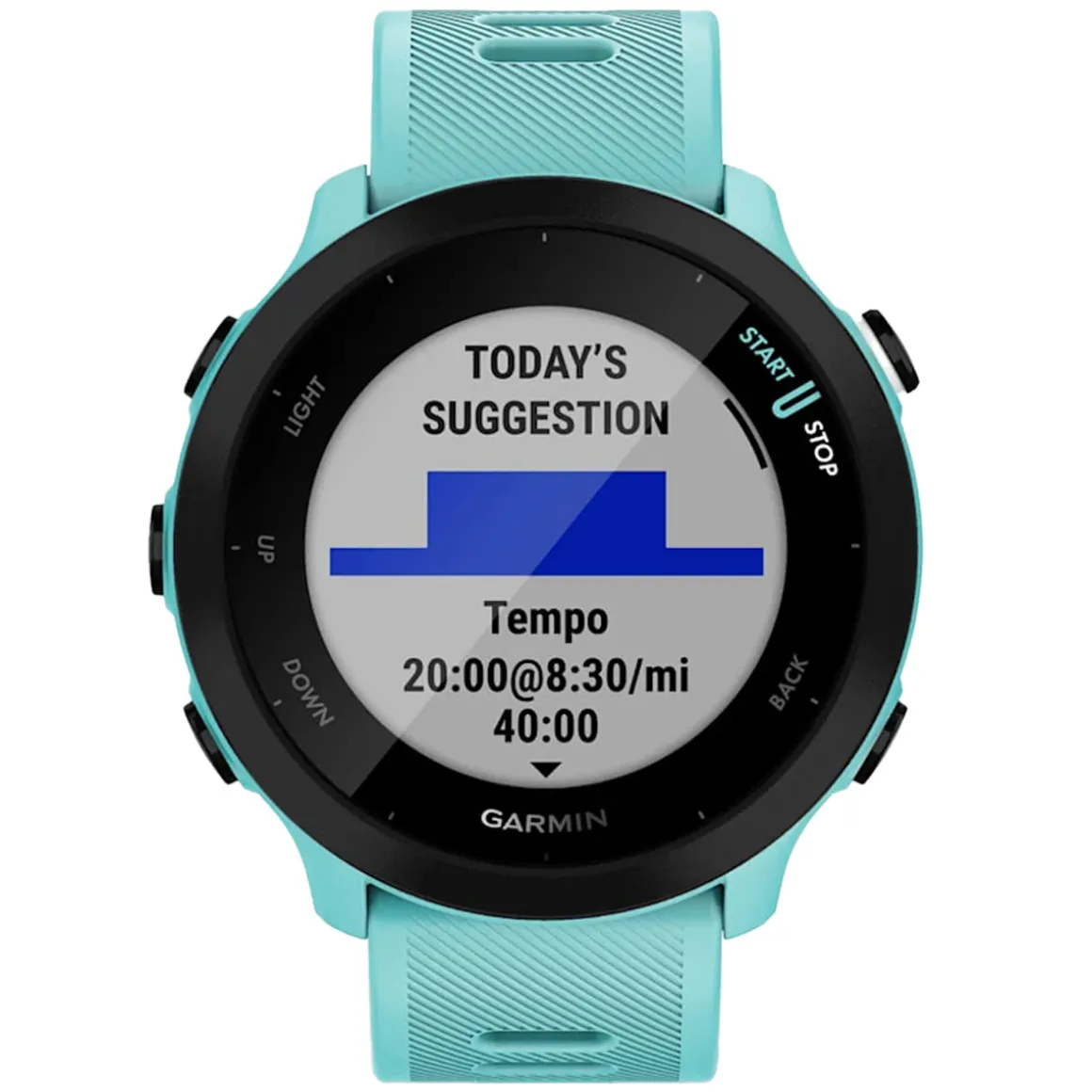 Forerunner 55 - GPS Running Smartwatch