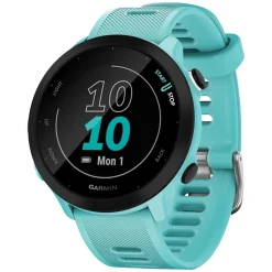 Forerunner 55 - GPS Running Smartwatch