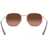 Hexagonal - Adult Sunglasses