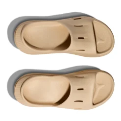 Ora Recovery 3 - Adult Slides