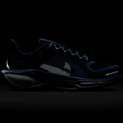 Pegasus 41 GTX - Women's Running Shoes