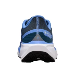 Pegasus 41 GTX - Women's Running Shoes
