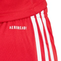 Squadra 25 - Women's Soccer Shorts