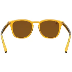 Sydney Amber Coast - Adult Sunglasses